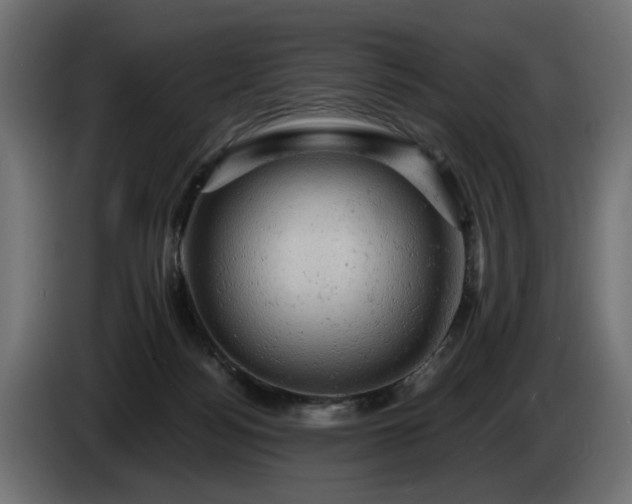 X0000084530172200703021429