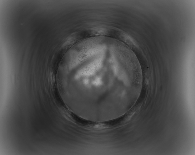 X0000084530173200703021429