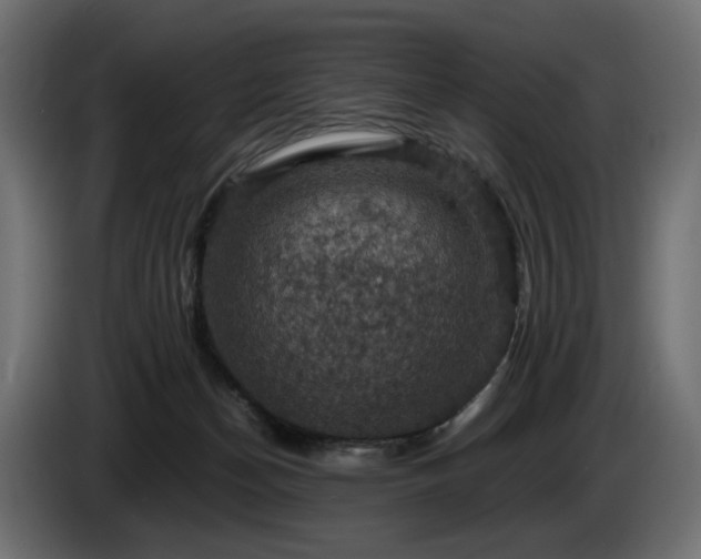 X0000084530174200703021429