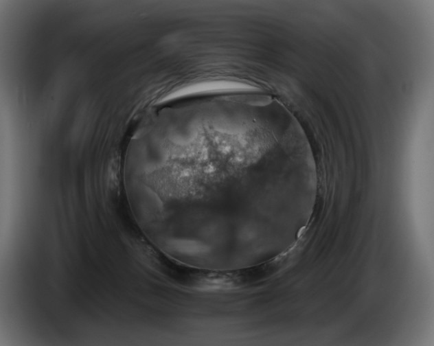 X0000084530175200703021429