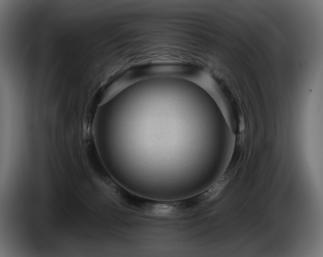 X0000084530176200703021429