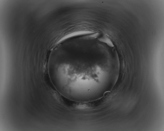 X0000084530177200703021429
