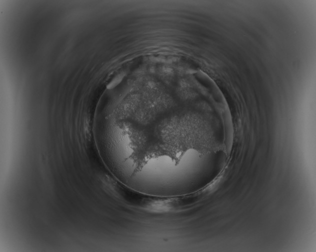 X0000084530178200703021429