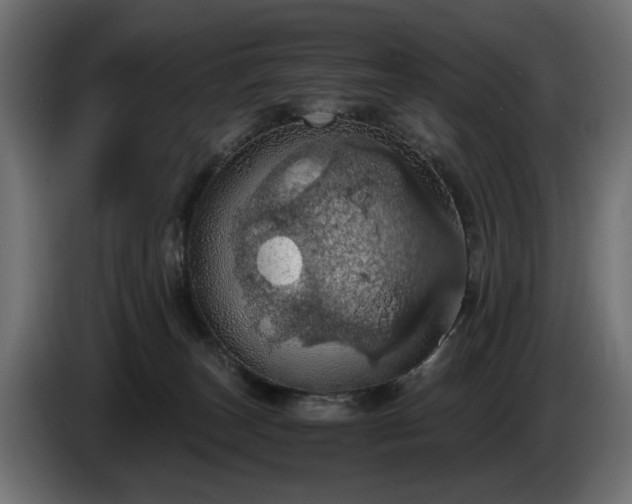 X0000084530179200703021429