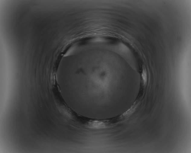 X0000084530180200703021429