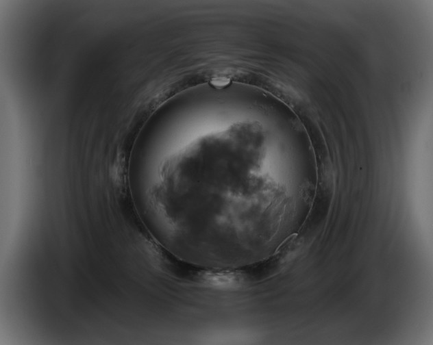 X0000084530181200703021429