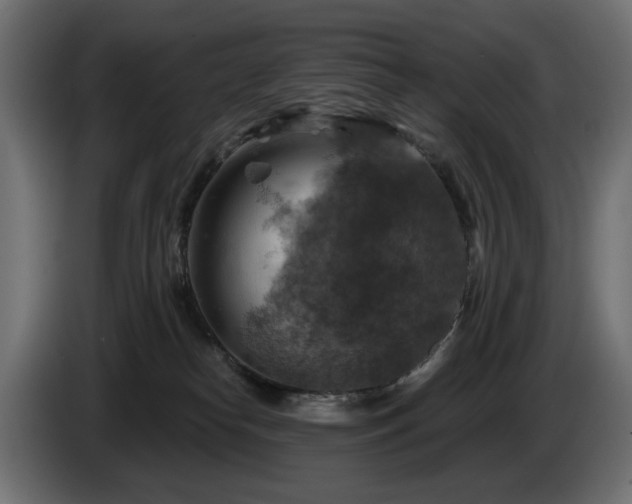 X0000084530182200703021429