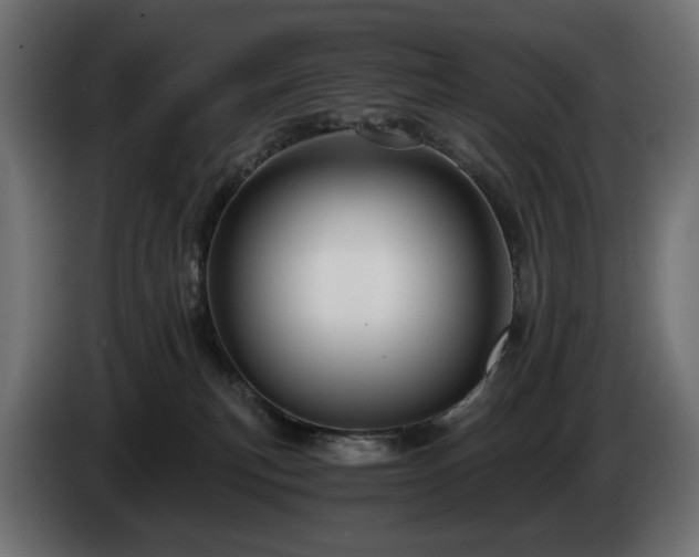 X0000084530183200703021429
