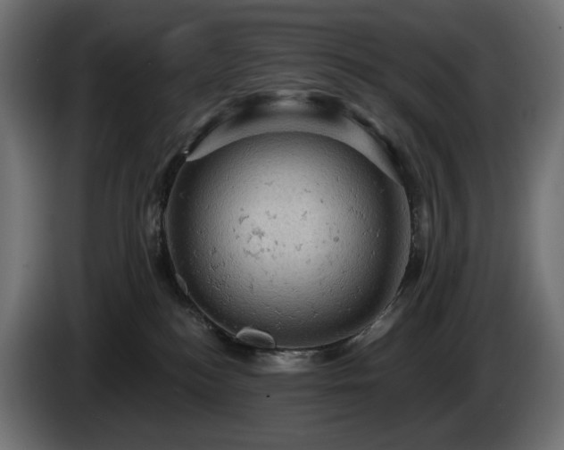 X0000084530184200703021429