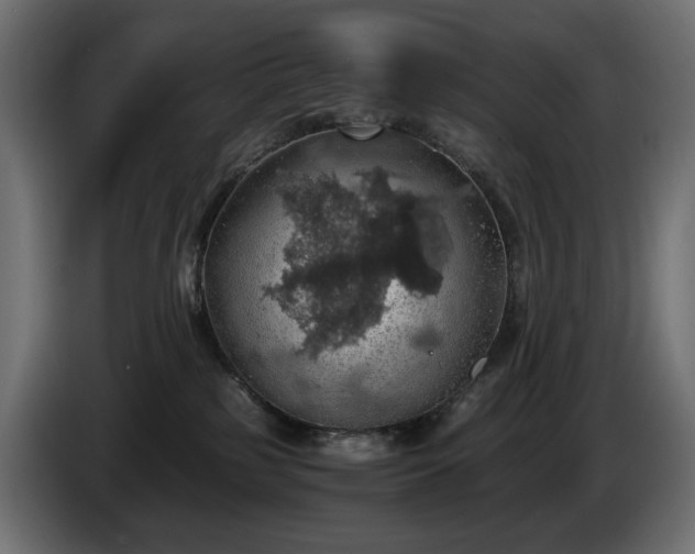 X0000084530185200703021429
