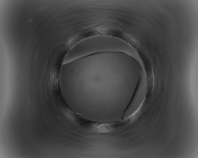 X0000084530186200703021429