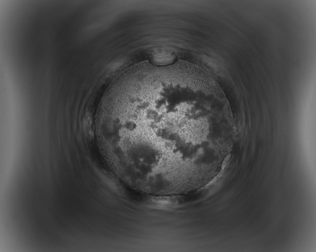 X0000084530187200703021429