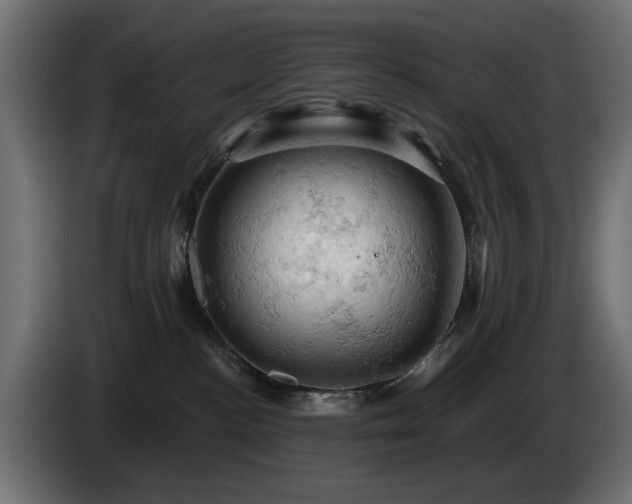 X0000084530188200703021429