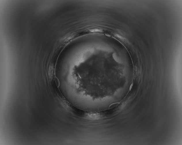 X0000084530189200703021429