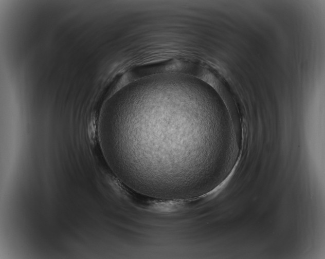 X0000084530190200703021429