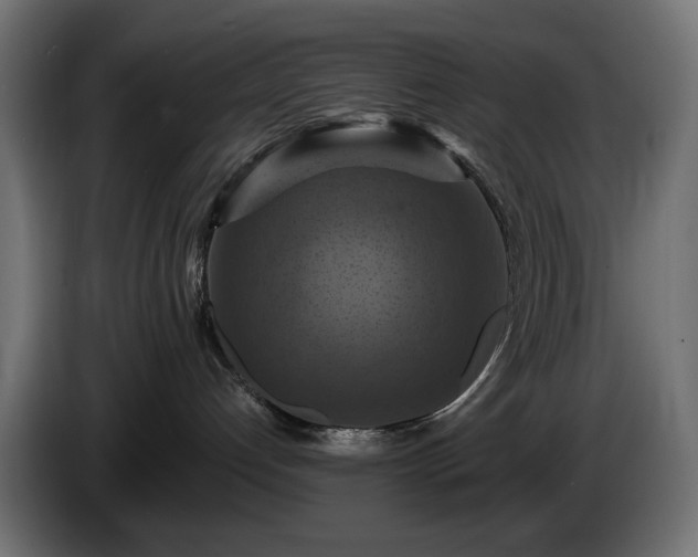 X0000084530192200703021429