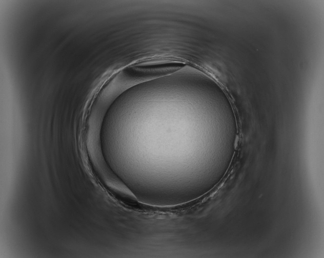 X0000084530193200703021429