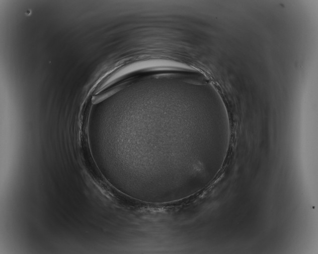 X0000084530194200703021429