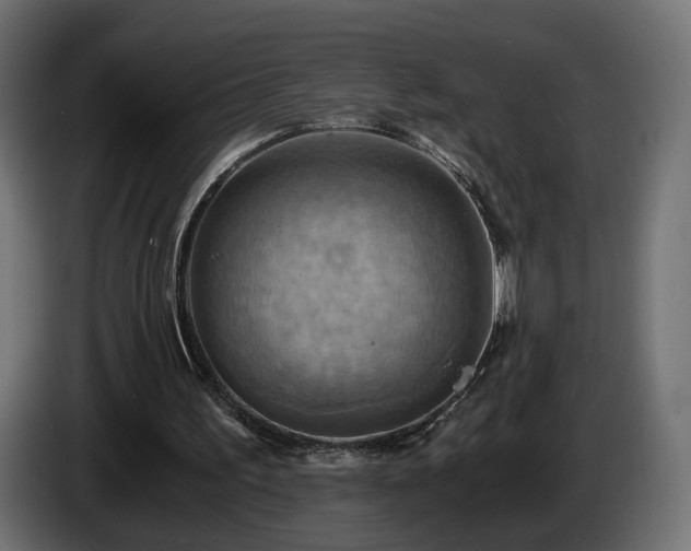 X0000084530195200703021429