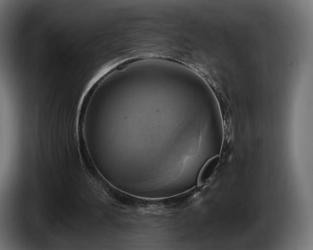 X0000084530196200703021429