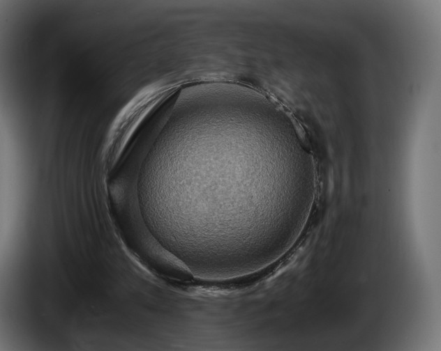 X0000084530197200703021429