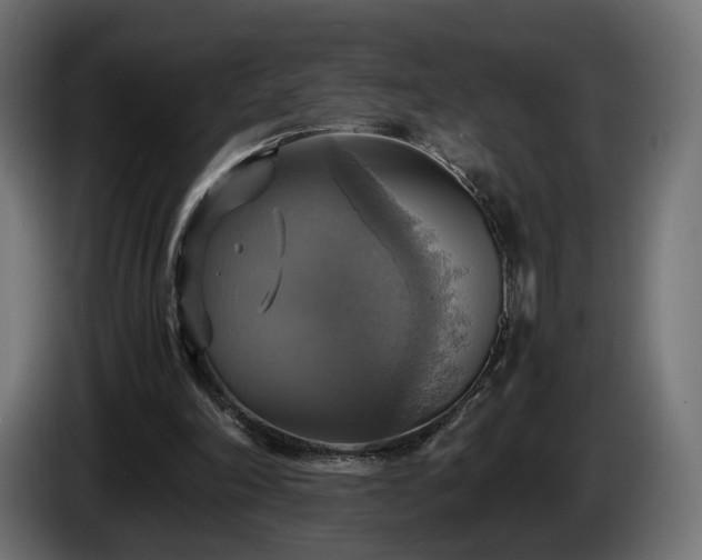 X0000084530198200703021429