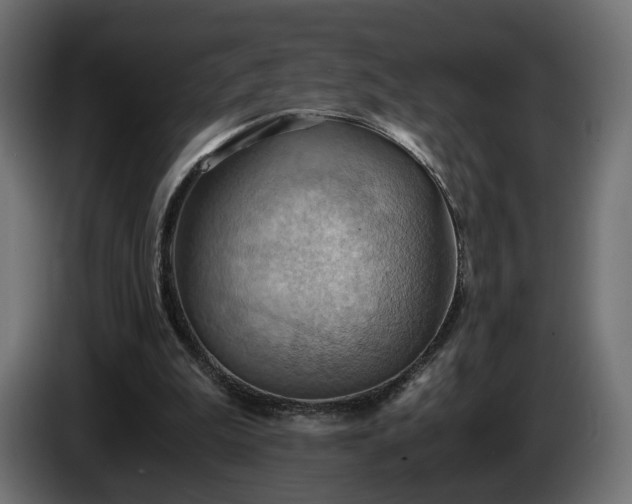 X0000084530199200703021428