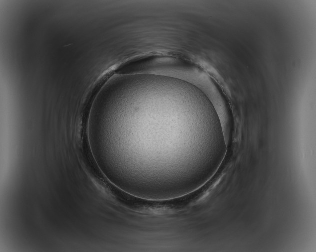 X0000084530201200703021428
