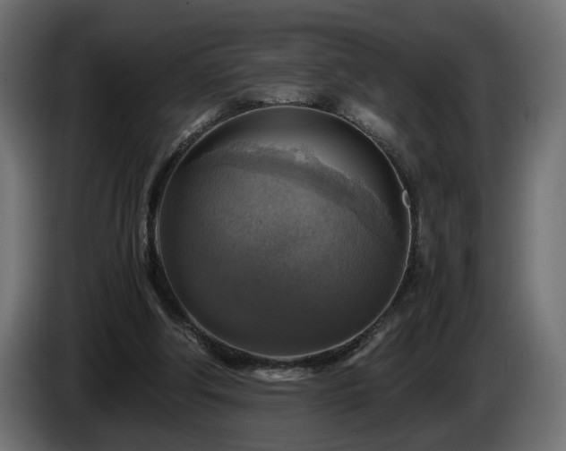 X0000084530202200703021428