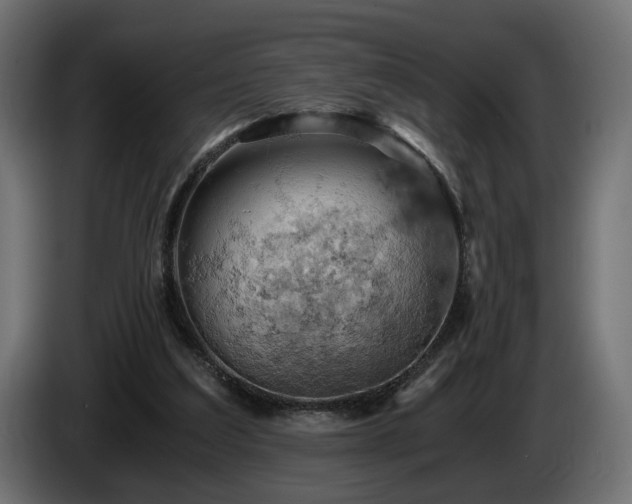 X0000084530203200703021428