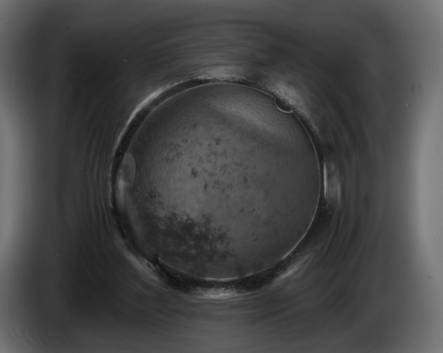 X0000084530204200703021428