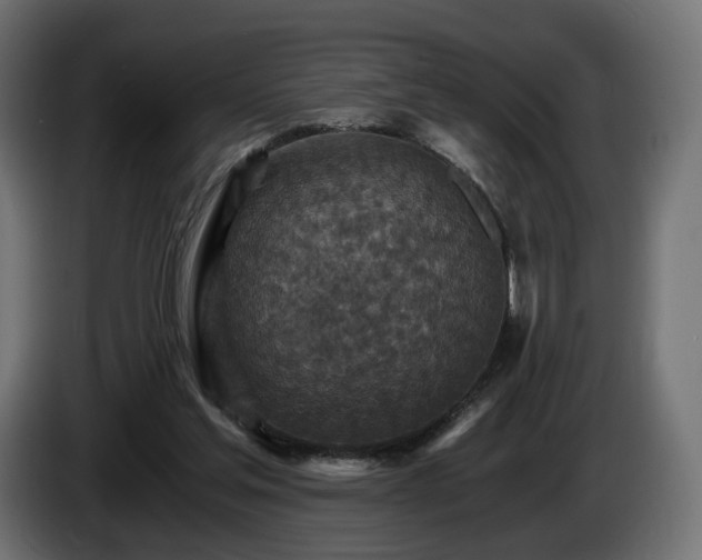 X0000084530205200703021428