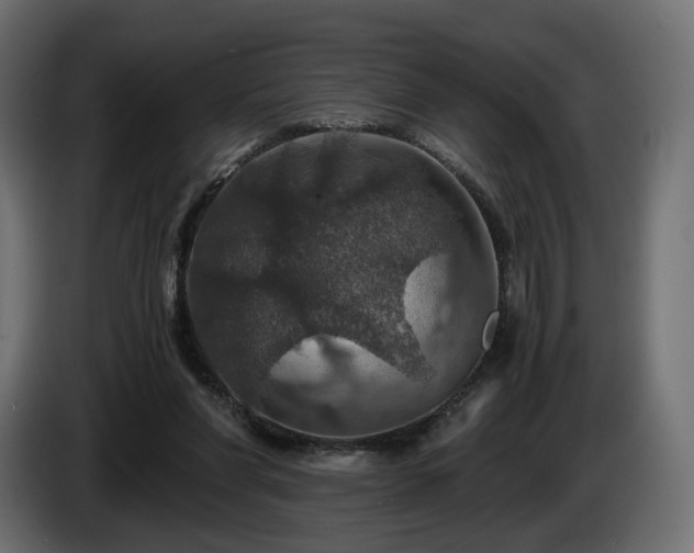 X0000084530206200703021428