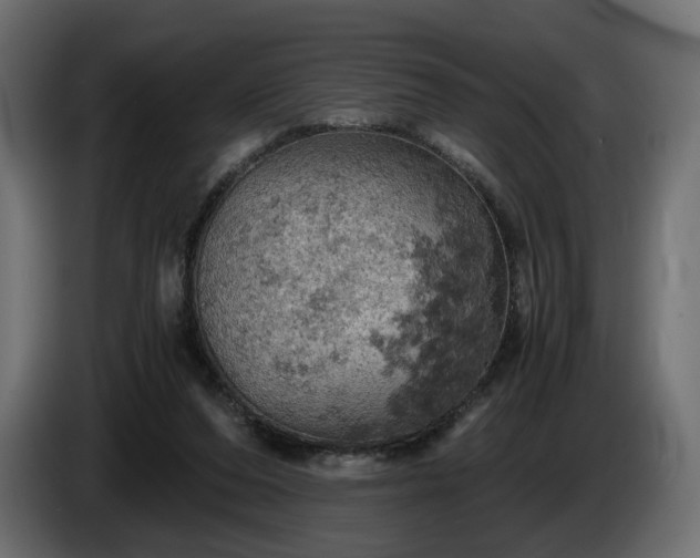 X0000084530208200703021428