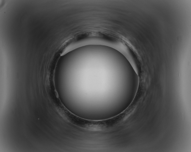X0000084530209200703021428