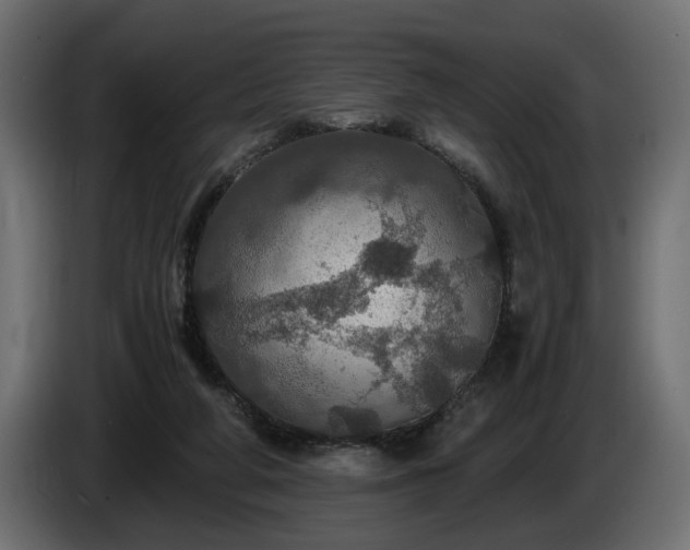 X0000084530210200703021428