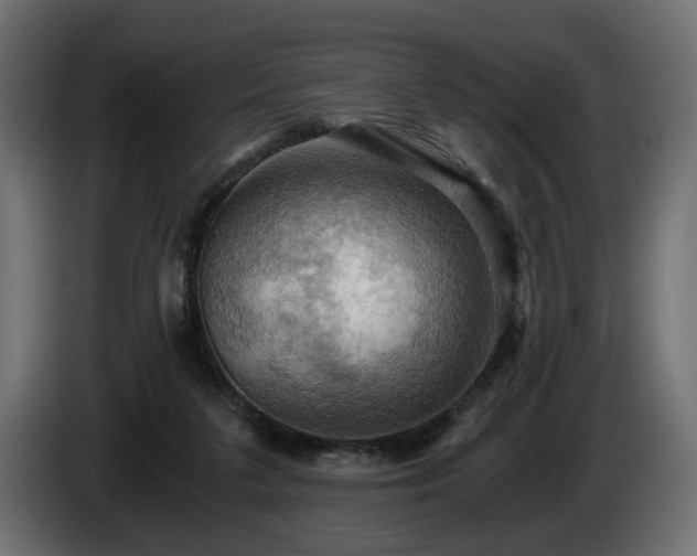 X0000084530211200703021428