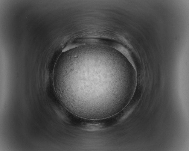 X0000084530213200703021428