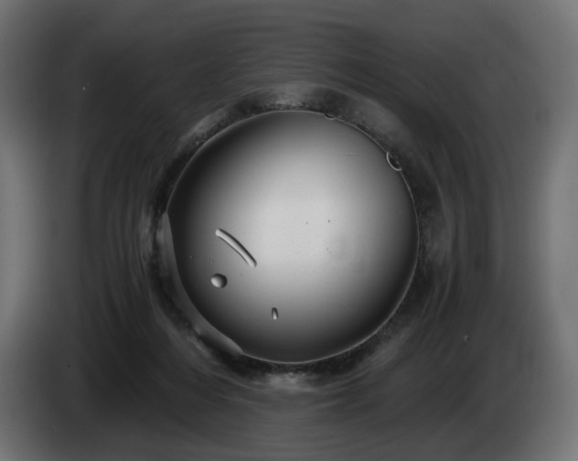 X0000084530216200703021428