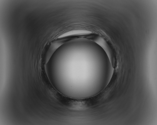 X0000084530217200703021428