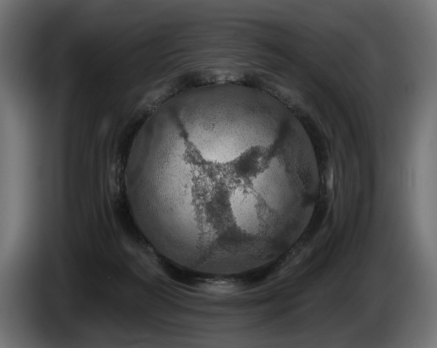 X0000084530218200703021428