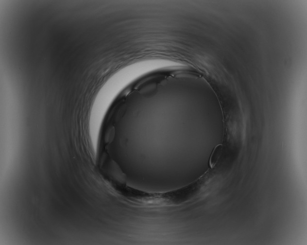 X0000084530219200703021428