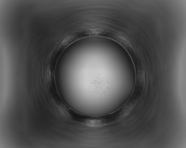 X0000084530220200703021428