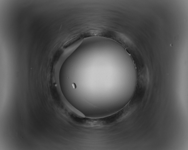 X0000084530221200703021428