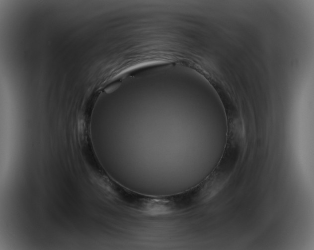 X0000084530222200703021428
