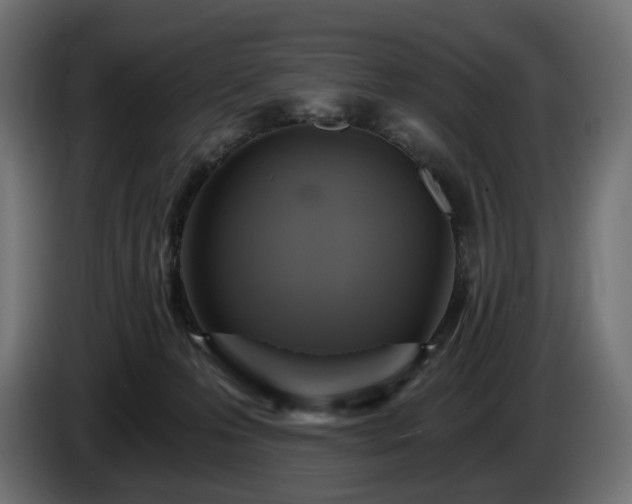 X0000084530223200703021428