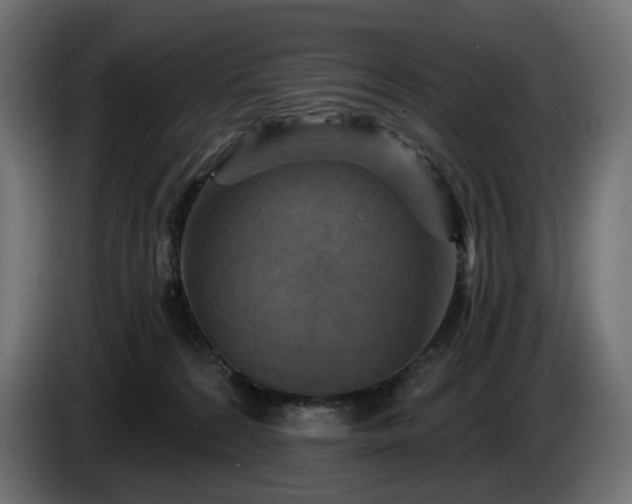 X0000084530224200703021428
