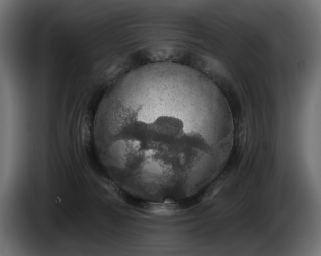 X0000084530226200703021428