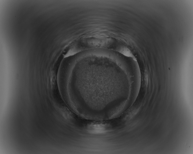 X0000084530228200703021428