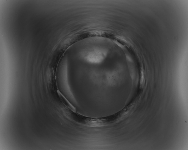 X0000084530229200703021428